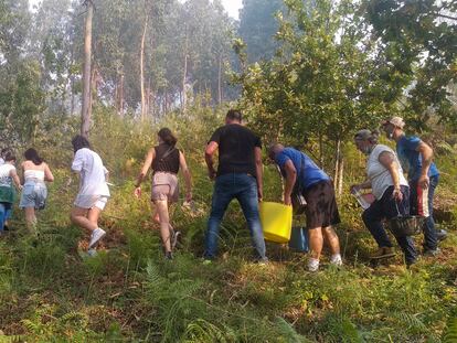 Los vecinos de Moaña (Pontevedra) repelen el fuego a las puertas de sus casas, este domingo por la tarde.