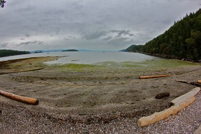 Playa en Galiano Island, Canad&aacute;.