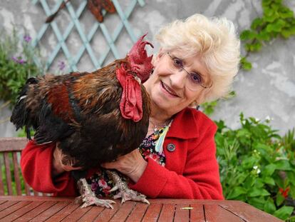 La propietaria del gallo ‘Maurice’posa junto al animal en su jardín, cerca de La Rochelle (Francia). 