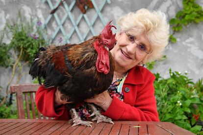 La propietaria del gallo ‘Maurice’posa junto al animal en su jardín, cerca de La Rochelle (Francia).