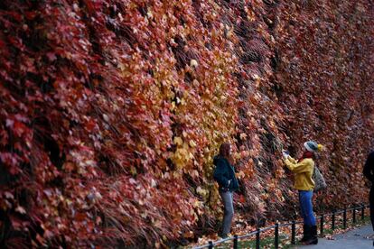 Dos mujeres toman fotografías durante un día de otoño, en el parque londinense de St. James.