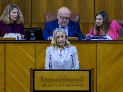 La consejera andaluza de Salud y Consumo, Rocío Hernández, en el Parlamento la semana pasada.