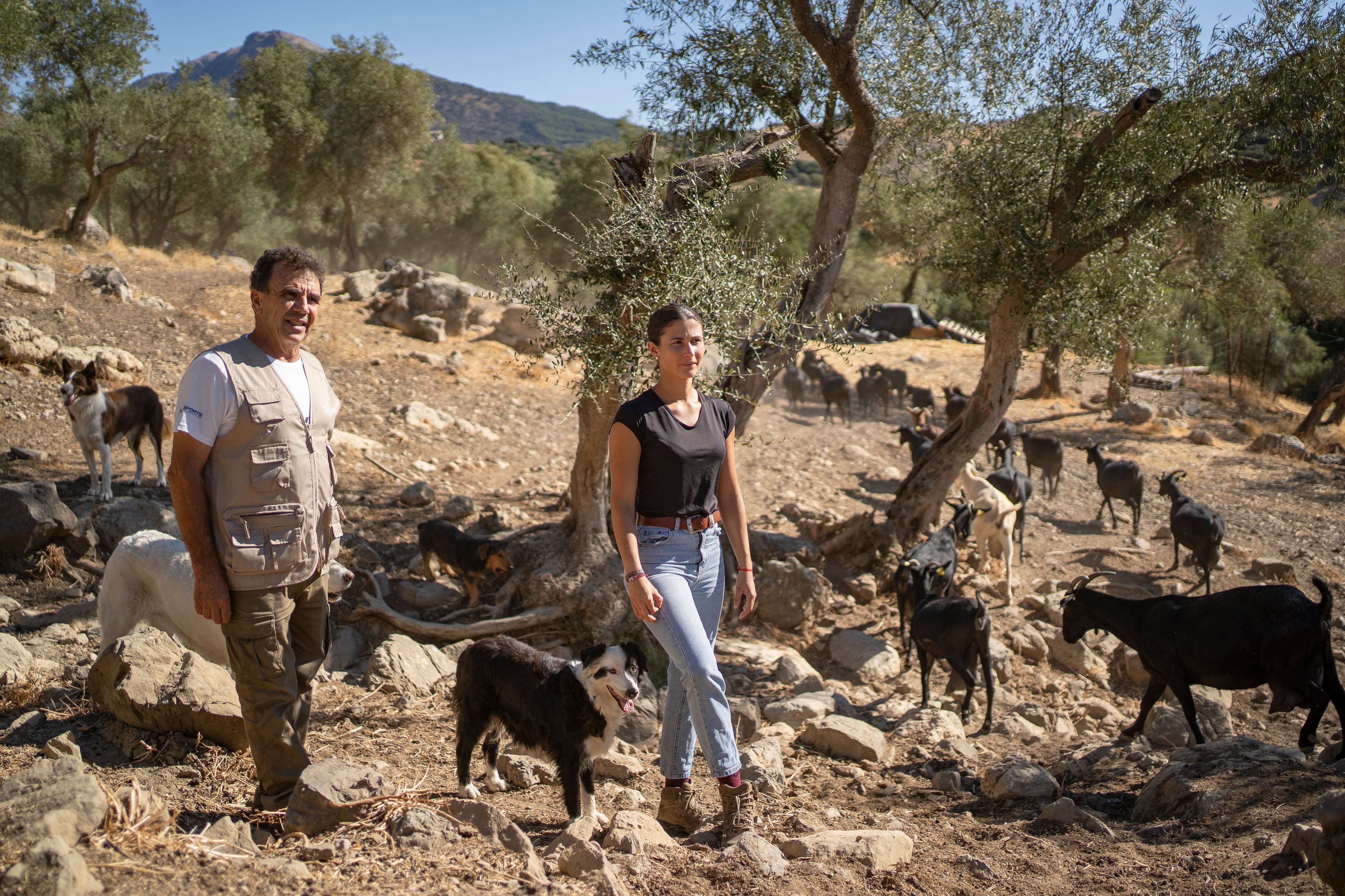 Jose Miguel Sánchez, ganadero y María Sierras, aprendiz de pastora, sacan a las cabras a pastar cada día. 