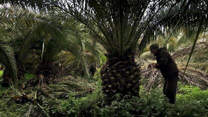 Un fotograma de 'Sacro GRA', de Gianfranco Rosi.