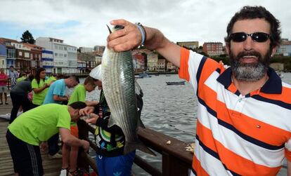 Un pescador exhibe uno de los muxes capturados hoy en Mugardos.