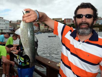 Un pescador exhibe uno de los muxes capturados hoy en Mugardos.