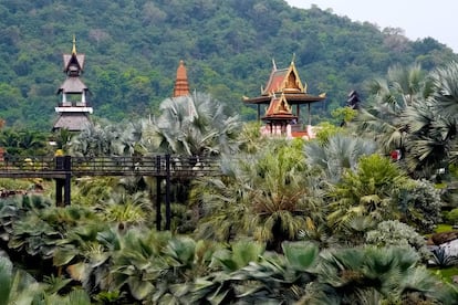 In 1954, el señor Pisit y la señora Nongnooch Tansacha compraron algo más de 240 hectáreas cerca de Pattaya, en la provincia de Chon Buri (Tailandia), para convertirlas en una plantación de mangos, naranjas, cocos y otras frutas locales. Tras un viaje al extranjero, la señora Nongnooch decidió que aquello sería <a href="http://www.nongnoochtropicalgarden.com/" target="">un vergel tropical de flores y plantas ornamentales</a> de todo el mundo: jardín inglés y europeo, cactus, especies de Nueva Caledonia, Asia, América tropical o África central. Abrió al público en 1980, añadiendo a las flores que lo han elevado a centro botánico de renombre internacional espectáculos con elefantes, ceremonias religiosas, demostraciones de artes marciales o masajes, un zoo, restaurantes, un hotel y casas de alquiler de estilo tailandés.