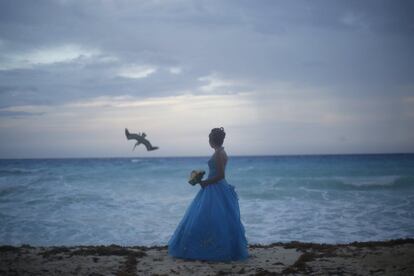 A girl looks at a bird fishing in the sea in Cancun, October 14, 2015. Cancunâ€™s transformation in the 1970s from a small Caribbean fishing village into a strip of nightclubs and high-rise hotels has reduced biodiversity and polluted water resources as infrastructure struggles to keep up.  REUTERS/Edgard Garrido  TPX IMAGES OF THE DAYPICTURE 28 OF 34 FOR WIDER IMAGE STORY 'EARTHPRINTS: CANCUN'SEARCH 'EARTHPRINTS CANCUN' FOR ALL IMAGES      TPX IMAGES OF THE DAY     