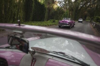 Tráfico de "almendrones " (coches antiguos americanos, en la jerga cubana) en Bosque Habana.