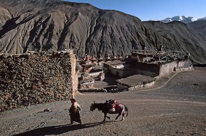 Nisal, Alto Dolpo (Nepal).