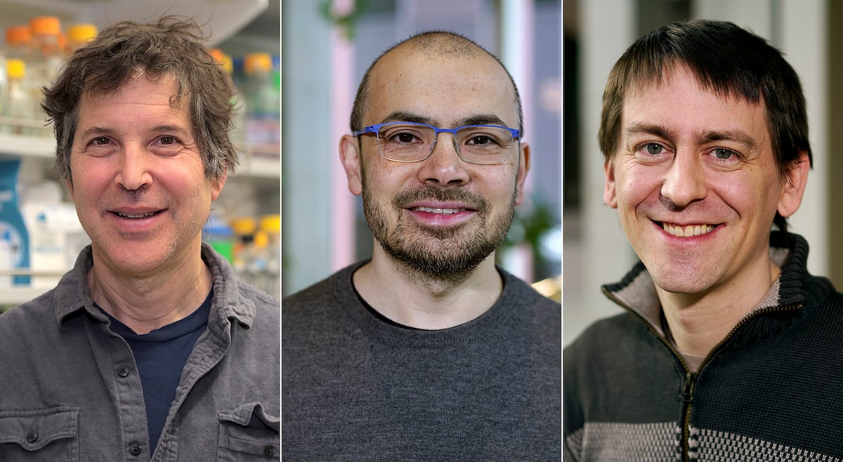 Nobel Prize in Chemistry 2024 awarded to David Baker, Demis Hassabis and John Jumper for uncovering the secrets of proteins with AI and computing Science