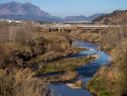 El rio Llobregat a su paso por Martorell, este miércoles.