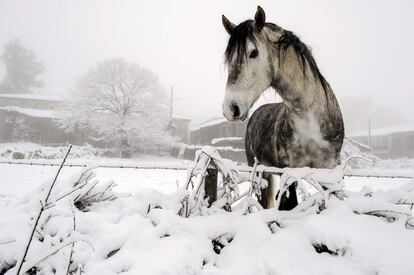 La nieve cubre los campos de Casardansola en Ourense.