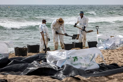 Varios operarios trabajan en la playa del Saler, de Valencia.