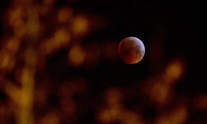 A superlua de sangue vista na cidade de Antuérpia (Bélgica).