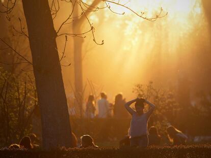 Tarde de primavera en El Retiro