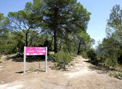 Zona en la que se encontraron los cadáveres de una pareja en Ibiza.