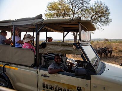 Un grupo de turistas observa una manada de ñus en el parque nacional Kruger, en Sudáfrica.