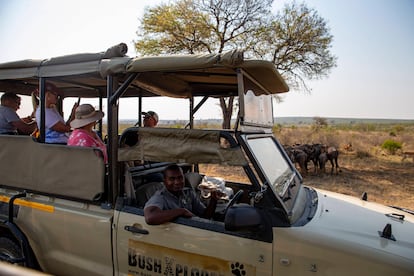 Un grupo de turistas observa una manada de ñus en el parque nacional Kruger, en Sudáfrica.