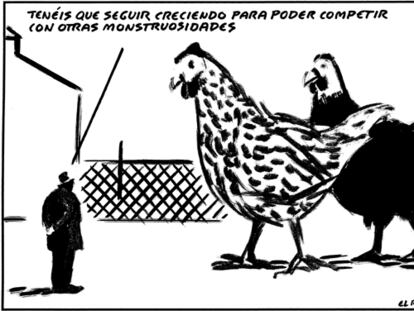 EL ROTO