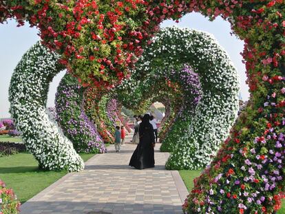 Un jardín ¿milagroso?