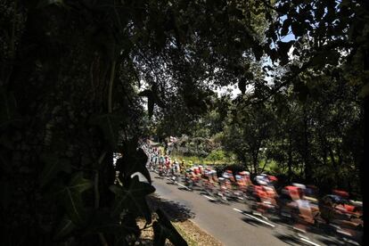 El pelotón en la primera etapa del Tour entre Noirmoutier-en-l'ile y Fontenay-le Comte.