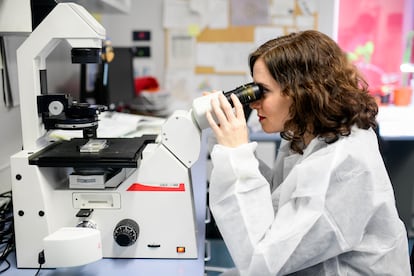 La presidenta Isabel Díaz Ayuso, durante una visita al laboratorio central del Canal de Isabel II, en Madrid, en noviembre de 2019.