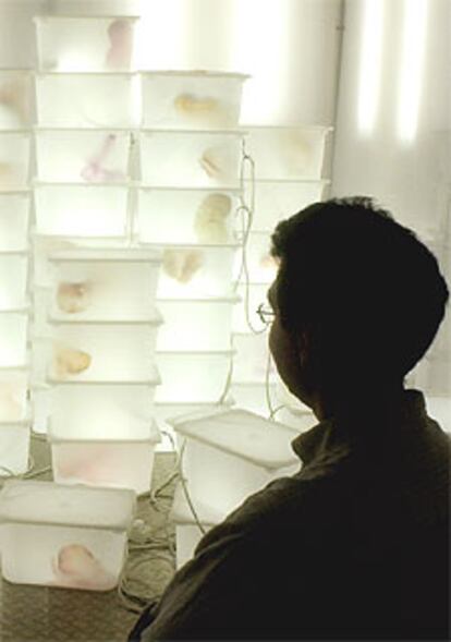 Un espectador contempla la instalación <i>Casa cuna</i><i>,</i> de Paloma Navares.