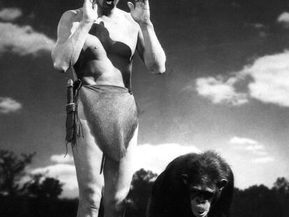 Johnny Weissmuller y Chita, en <i>Tarzán y su hijo, </i>película de 1939.
