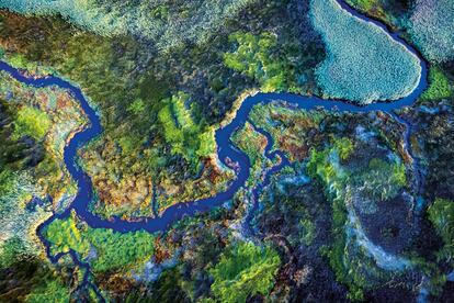 Las marismas del río Coura, en Portugal, uno de los lugares donde se recogen los juncos para esta artesanía sostenible.