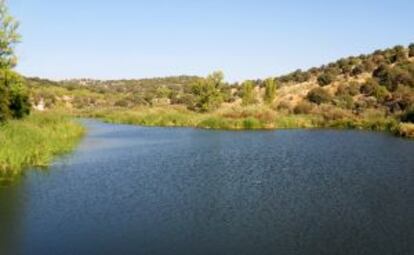 El embalse está prácticamente colmatado por el fango.