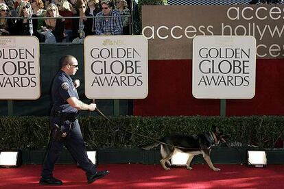 Como en todo acto público en Estados Unidos, las medidas de seguridad son estrictas. En esta fotografía un agente con perro camina por la alfombra roja poco antes de la llegada de las estrellas a la edición número 63 de los Globos de Oro, los premios que son conocidos como la antesala de los Oscar, porque dan las pistas de cuales serán los premiados en la gran cita del cine mundial.