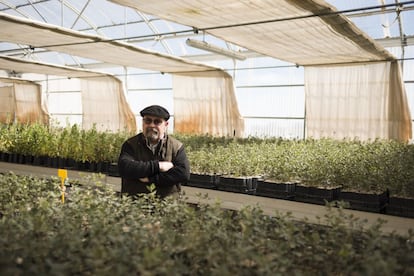 Juan María Estrada administra el vivero 'Inotruf' en Sarrión.