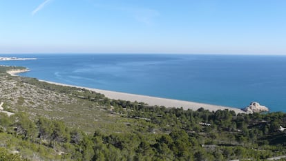 Playa del Torn, en Vandellós i l’Hospitalet de l’Infant.