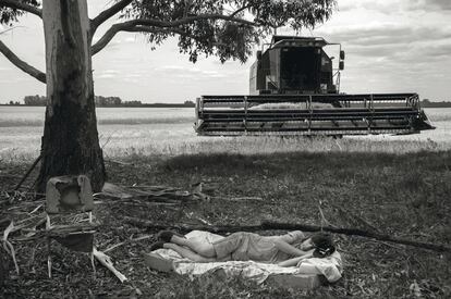 Descanso. Trabajadora en plena siesta antes de volver a cosechar, en Santa Anita, provincia de Entre Ríos.