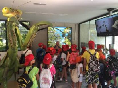 Un grupo de niños visita las instalaciones.