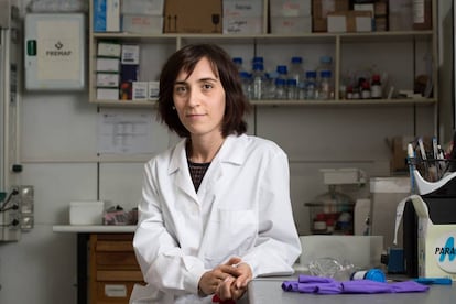 Nieves Cubo, en su laboratorio en el CSIC. La ingeniera ha formado parte del equipo de investigación que ha logrado imprimir piel humana.