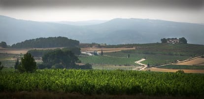 Vista panor&aacute;mica de les Terres dels Alforins, en la parte recayente a Moixent, con algunos vi&ntilde;edos en primer plano.