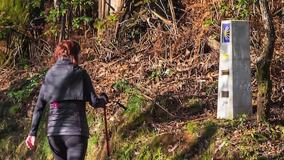 Una peregrina haciendo el camino de Santiago