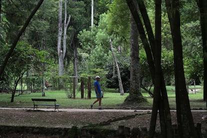 También encontramos en el jardín una rica fauna, museos, teatro, monumentos históricos y artísticos, sitios arqueológicos e instituto de investigación acompañada de la más completa biblioteca del país especializada en botánica, más un hermoso bosque para caminar. En la imagen, una persona camina este miércoles por el jardín.