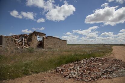 <p>Salamanca sufre una grave crisis demográfica que azota, sobre todo, al mundo rural. Varias asociaciones salmantinas se han unido para la recuperación agrícola de esas tierras abandonadas. </p><p>En la imagen, terrenos abandonados en Carrascal de Pericalvo, cerca de Salamanca, donde el medio rural salmantino reclama desesperadamente un futuro. Manos Verdes trabaja tierras que estaban abandonadas, sin cultivar y que han sido cedidas por sus propietarios a cambio de un mínimo compromiso recíproco; posibilitando así la producción de hortalizas y generando otra dinámica agraria y social en la zona. </p>















