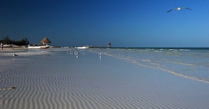 Las costas de la isla de Holbox.