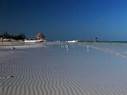 Las costas de la isla de Holbox.