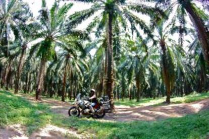 Paisaje selvático en Sadao, en las inmediaciones de la frontera entre Tailandia y Malasia