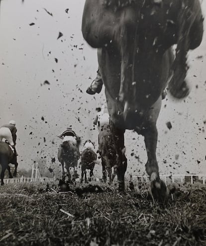 Carrera de caballos (sin título), en torno a 1970.