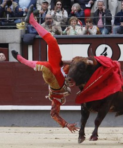 El diestro Saúl Jiménez Fortes, arrollado en la Feria de San Isidro.