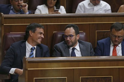 El líder del PSOE, Pedro Sánchez, conversa con el portavoz parlamentario socialista, Antonio Hidalgo.