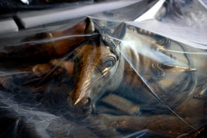 Una de las esculturas cobijadas en el almacén del Museo Marès durante las obras de reacondicionamiento de la colección