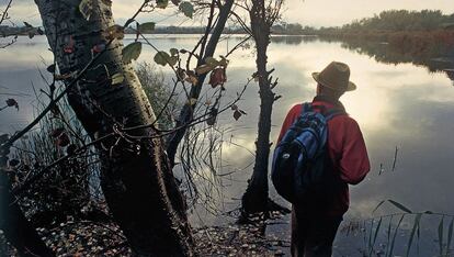 Laguna del Campillo, en Rivas.