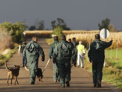 La Guardia Civil peinando un maizal en las labores de búsqueda.